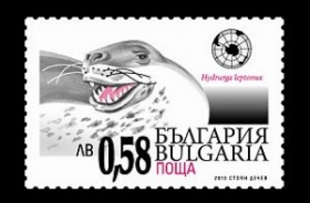 Пуснаха на пазара пощенска марка на тема Антарктида