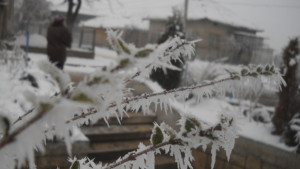 Не ходете близо до сградите