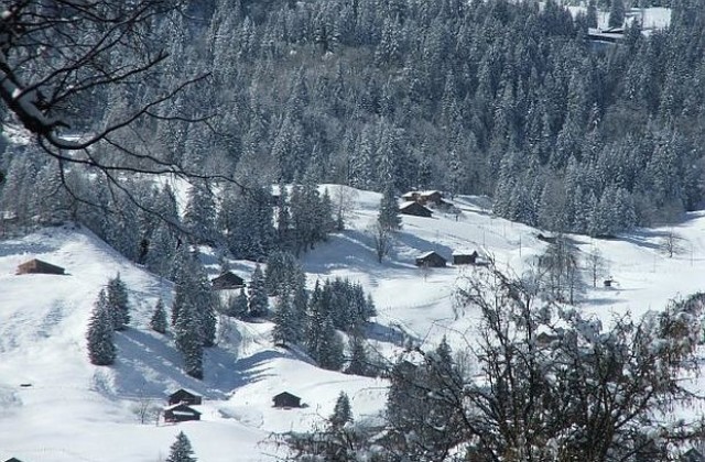 Прогнозите сочеха повече сняг през януари, времето ни изненада