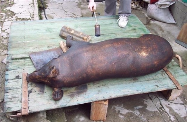 Безработни застреляха прасе и го откраднаха