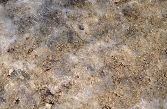 Сега опесъчаване, а след това?