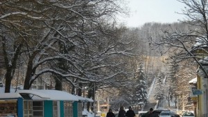 Нападнатата от домашно куче жена да потърси правата си в
