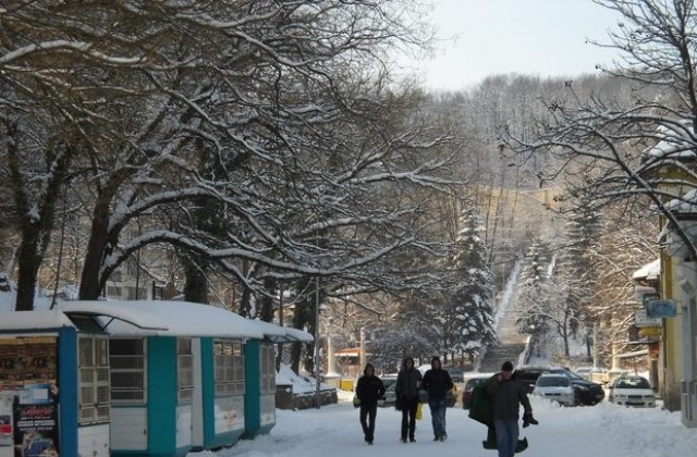 Нападнатата от домашно куче жена да потърси правата си в съда, съветва кметът