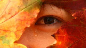 Какво изпълзява от двойното дъно