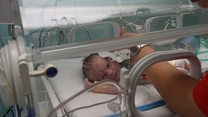 Спират общинската ин витро програма във Варна