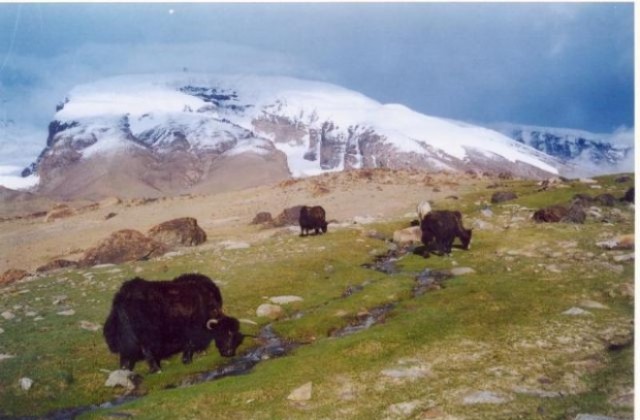 Великотърновска експедиция ще атакува Бащата на ледените планини