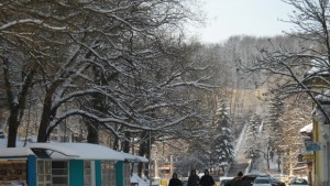 Провериха наемателя на павилиона с кучето