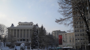 Нито една декларация от компаньонка или гадателка в Габрово
