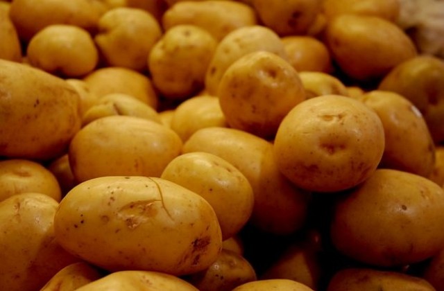 Популяризирали картофа с дневна охрана и нощни кражби