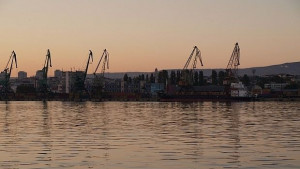 Червеното море било заради цъфтеж на фитопланктон