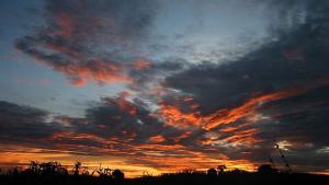 Мадона измами Малави