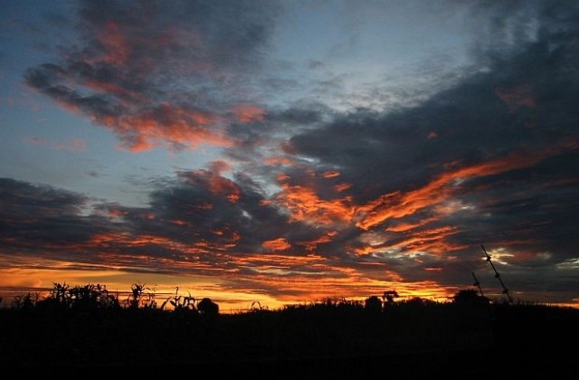 Мадона измами Малави