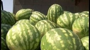 Общински пазари Бургас в мениджърска безтегловност