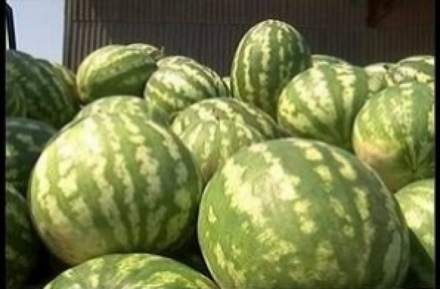 Общински пазари Бургас - в мениджърска безтегловност