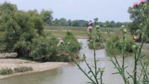 Общината иска да стопанисва минералния извор в Мараш за срок