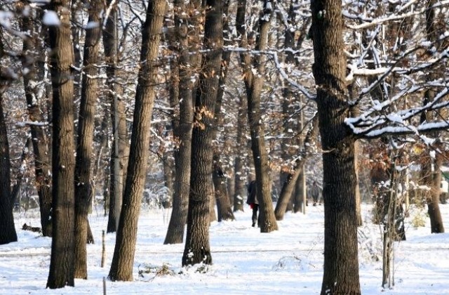 Облачно, с валежи от сняг