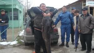 54 кг сом хвана Мърфи и го пусна в язовир