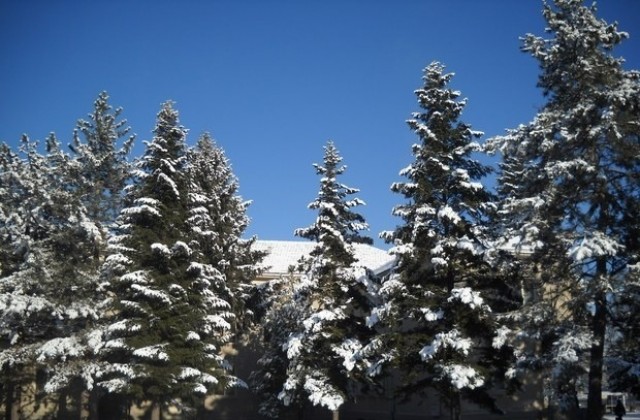 Слънчево