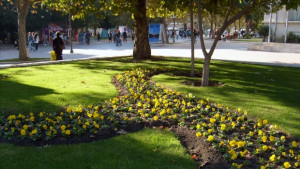 Разчистват градинките до Операта и Районния съд