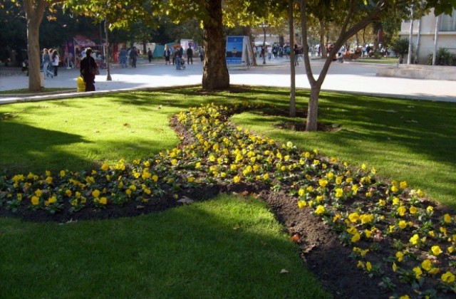 Разчистват градинките до Операта и Районния съд