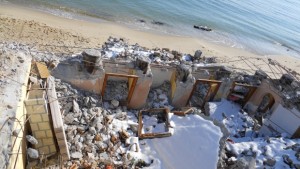 Кметът иска министерско разрешение за извозването на Рамона