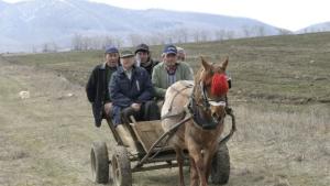 Камиони и каруци ще се движат в гората само с