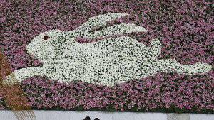 Годината на Металния заек вещае заговори и удари в гърба