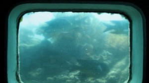 Под водата на острова