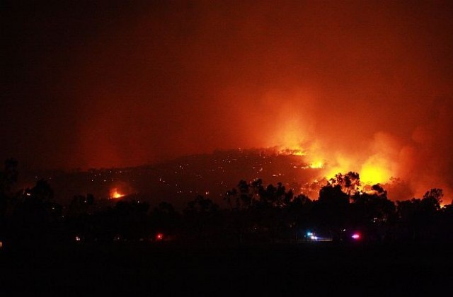 Горските пожари унищожиха поне 41 къщи в Австралия