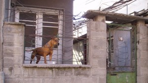 Провален бизнес глътна 14 частни имота