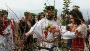 В община Царево готови за Трифон Зарезан
