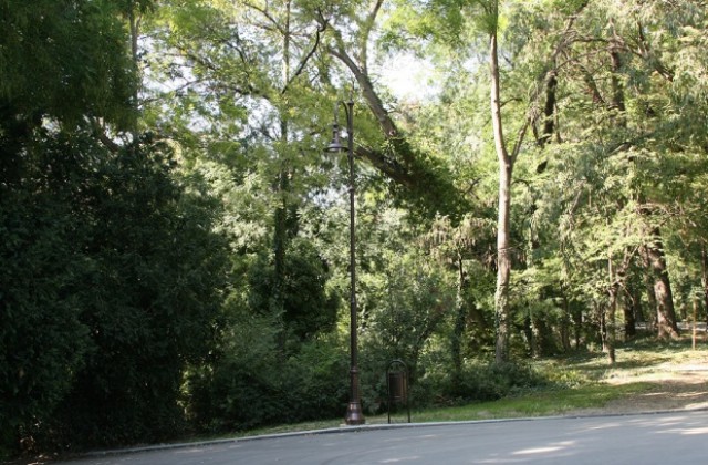 Сувенирният пазар  се мести в Морската градина?