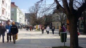 Полицията предупреждава Пазете се от фалшиви преброители