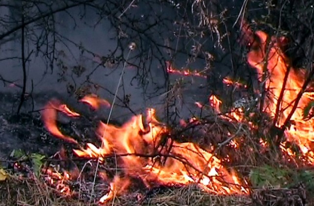 Над 90 пожара в сухи треви само за седмица в областта