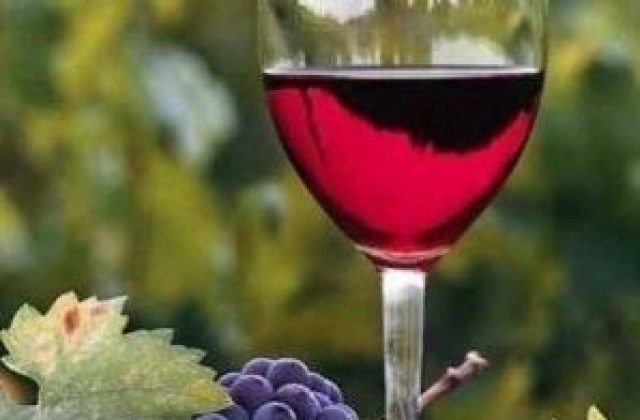 С вино и курбан ще празнуват днес Празника на виното в Градница