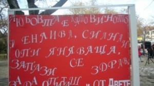 Застраховка любов за 14 февруари подаряват младите гербери