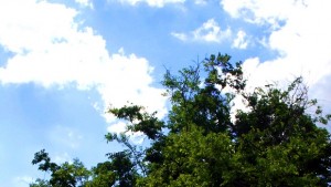 Очаква ни ясно време температурите се понижават