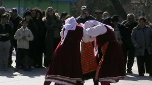 Зарязаха лозите във Виноградец
