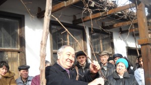 Колкото пъпки на лозите толкова бъчви в мазите