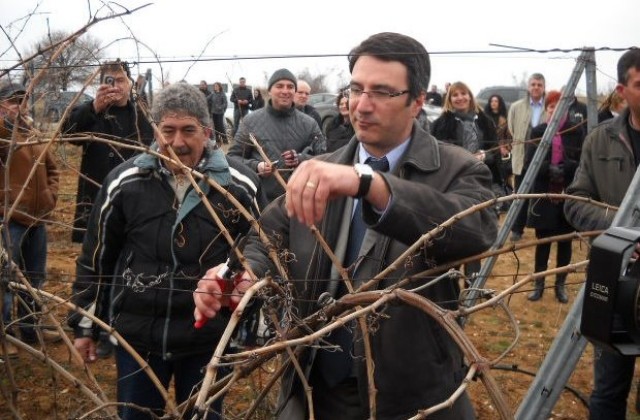 Винарският бранш трябва да се самоизчисти, според министър Трайков