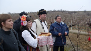 Зарязаха новоселската гъмза