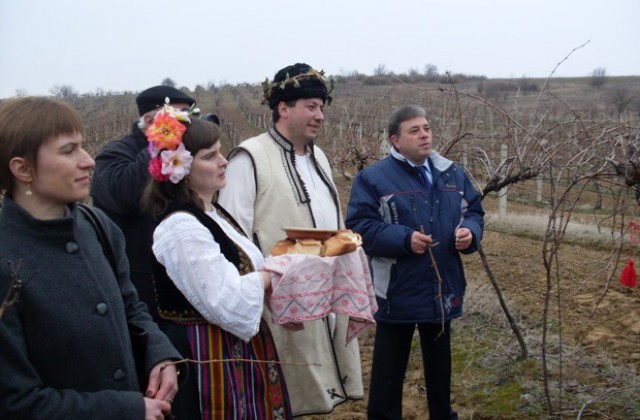 Зарязаха новоселската гъмза