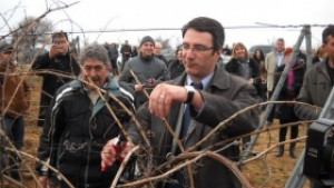 Винарският бранш трябва да се самоизчисти според Трайков