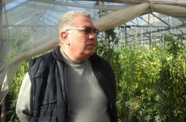 Пламен Сапунджиев: Български домати на пазара няма