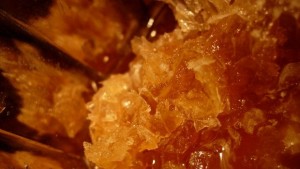 Участваме с щанд на Международния селскостопански салон в Париж