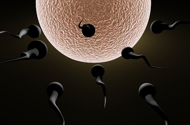 Качеството на спермата зависи от костите