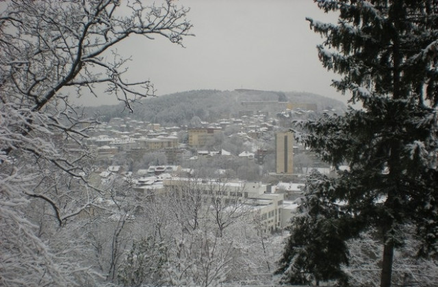 Седем проверки на фирми - вносители или производители на опаковани стоки