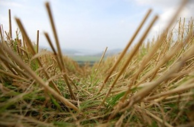 Машина ще прави тор от слама и листа