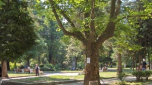 Крадат записващо устройство от охранителни камери