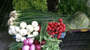 Производители очакват ръст на потреблението на биопродукти